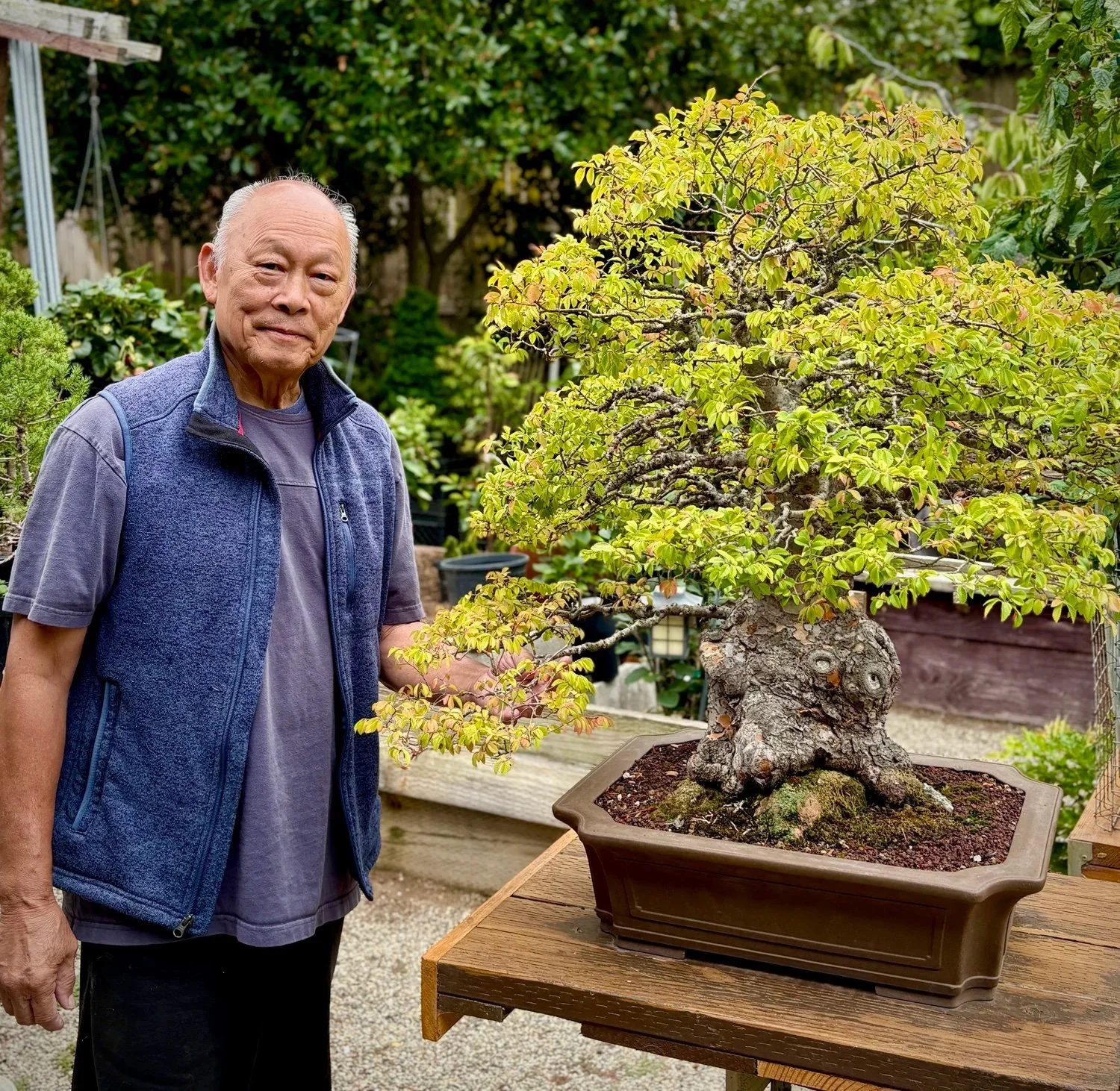 ⛩️ Steve Jang’s Garden