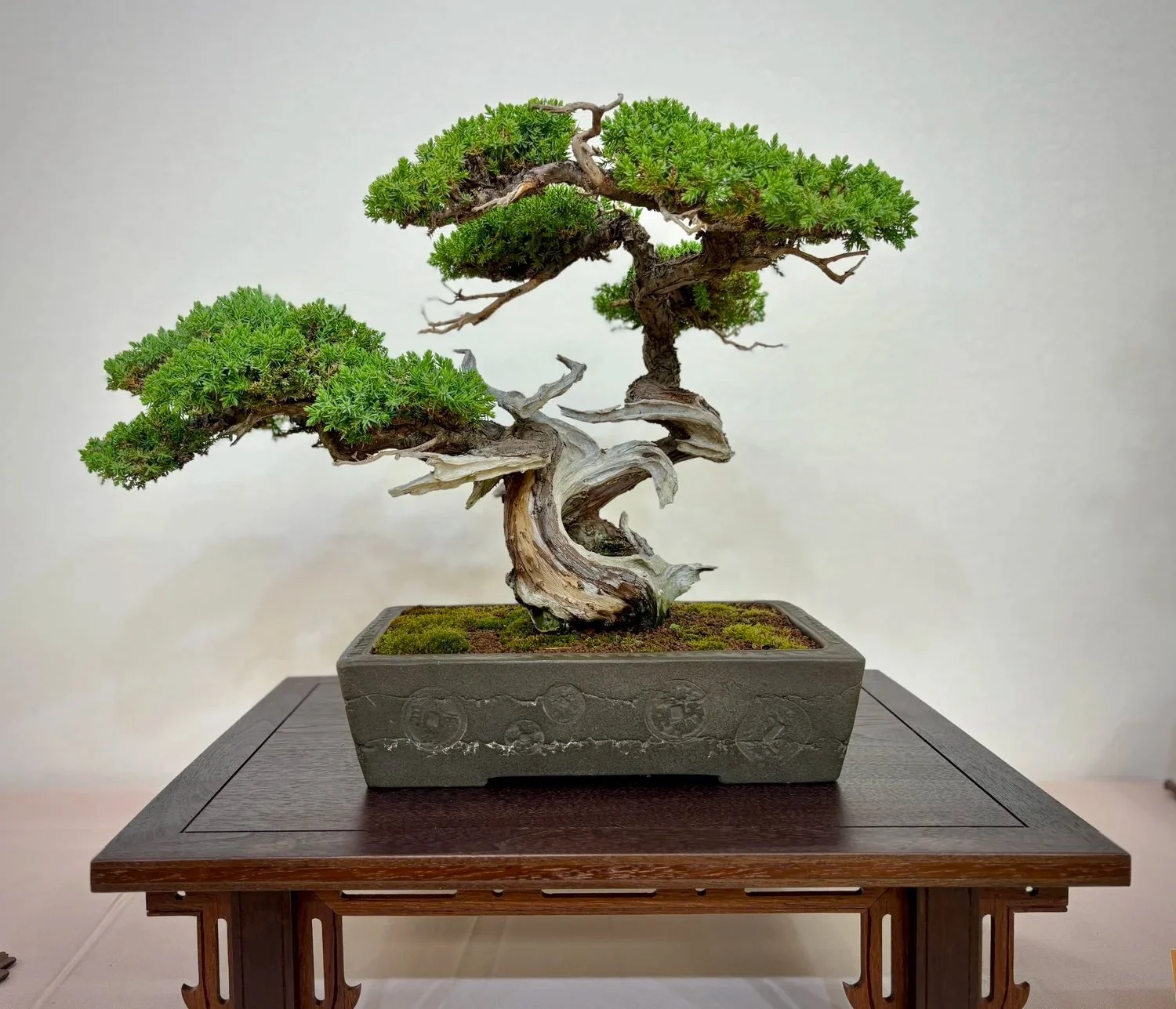 ⛩️ SBBK 2025 Show