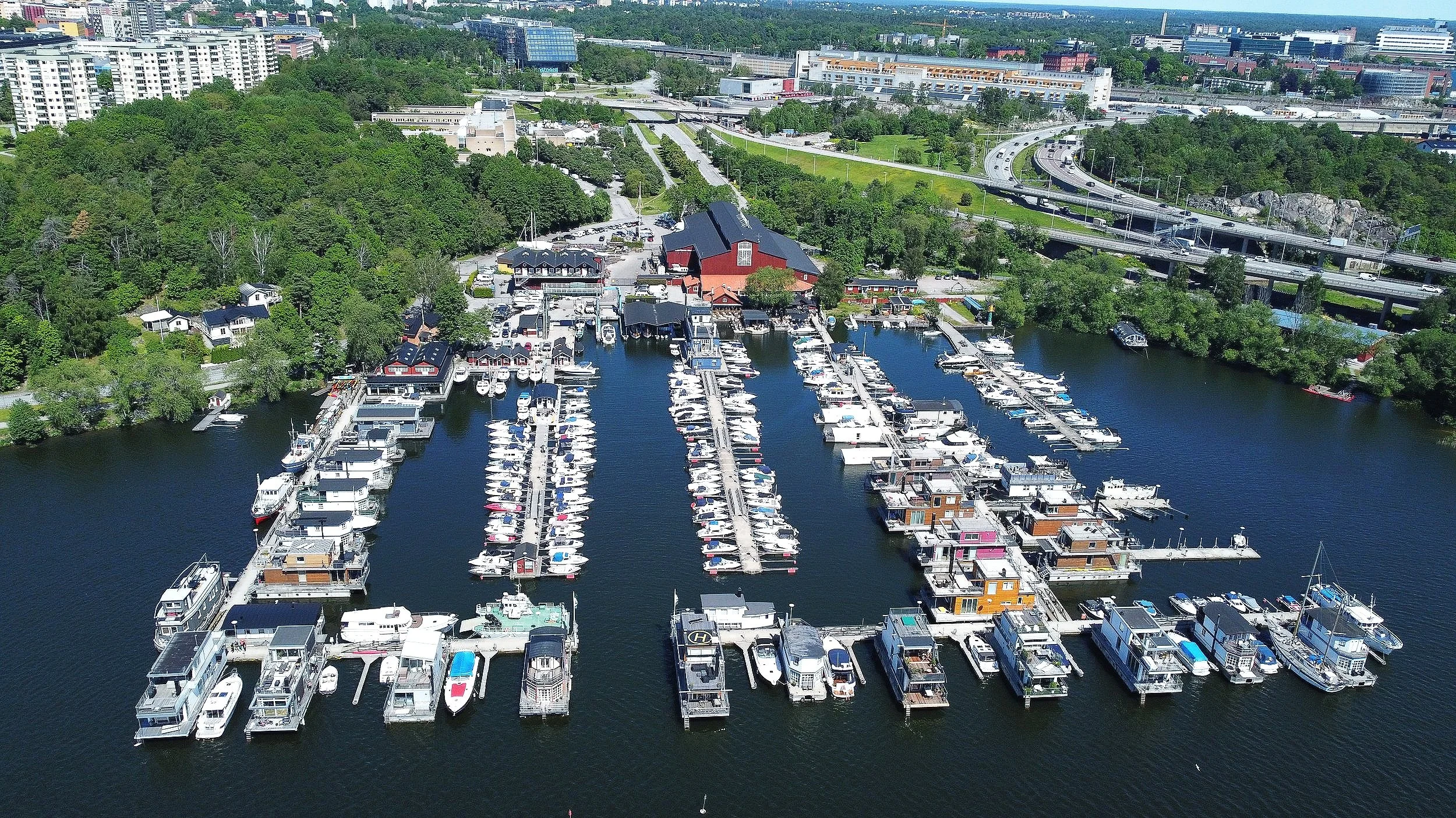 Pampas Marina
