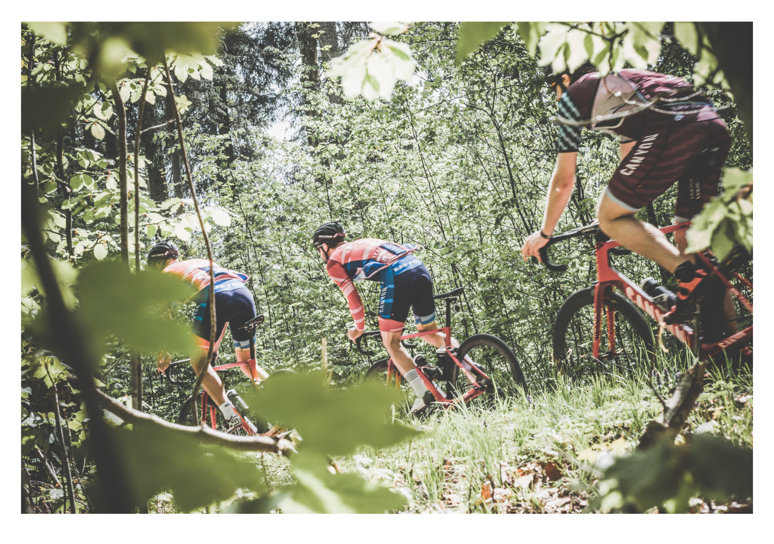 Screen Shot 2018-03-06 at 12.08.48 PM.png