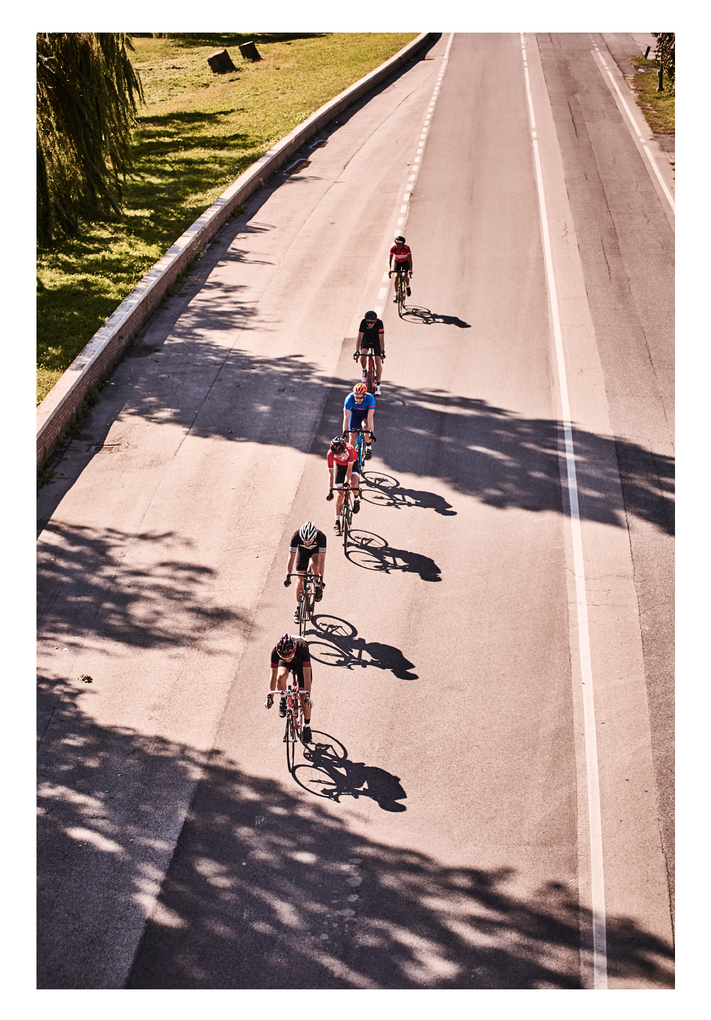 Screen Shot 2018-03-06 at 12.05.12 PM.png