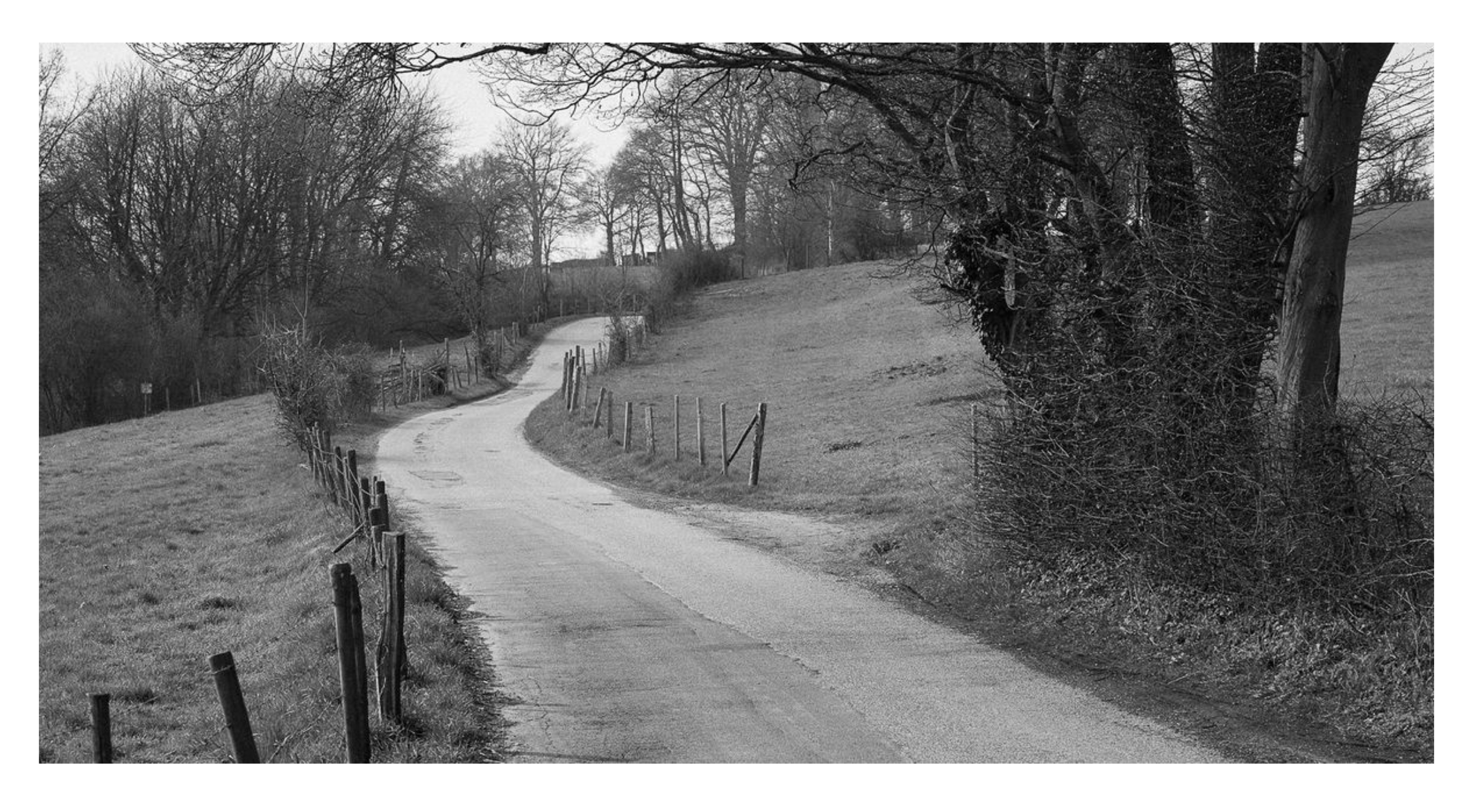 Screen Shot 2018-03-18 at 10.52.29 PM.png