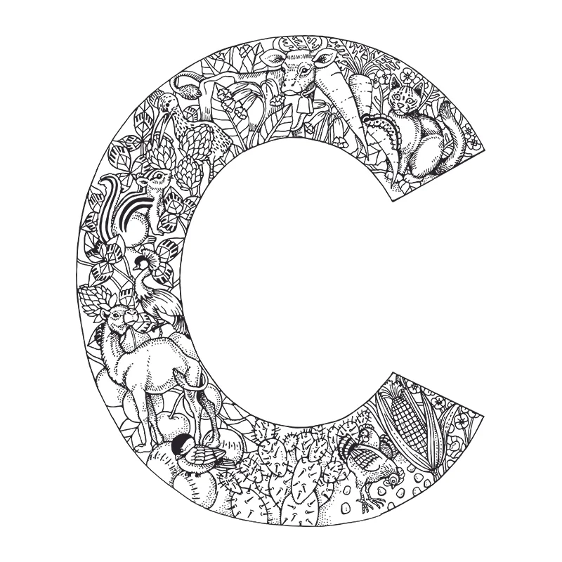 Personalised Decorative letter C
