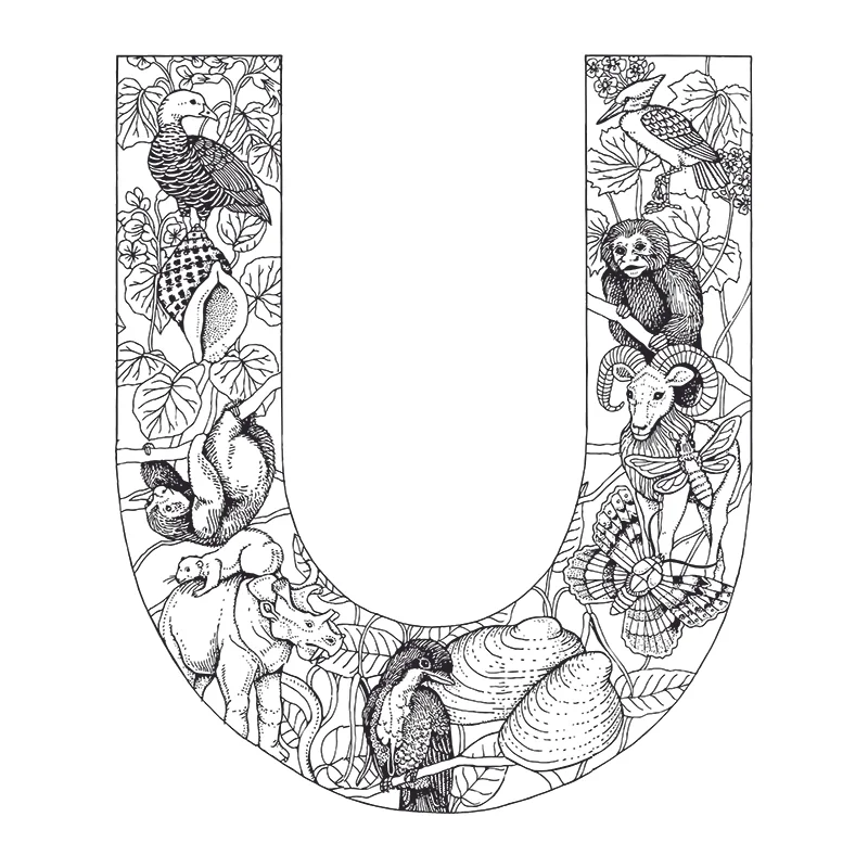 Personalised Decorative letter U