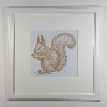 The Squirrel