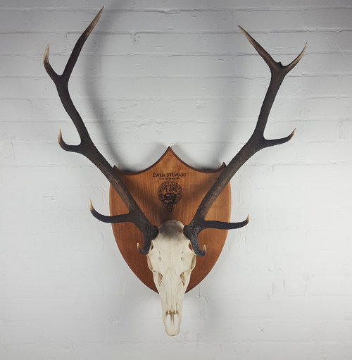 Ultimate Antlers