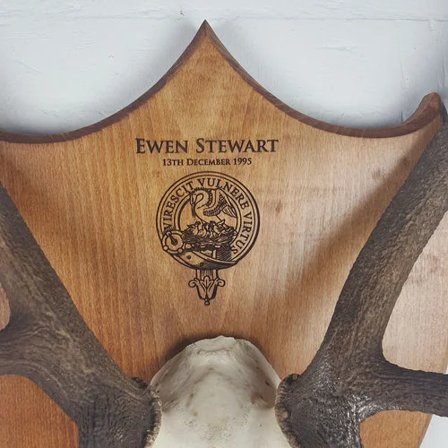 Ultimate Antlers