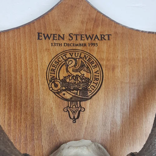 Personalised Ultimate Antlers
