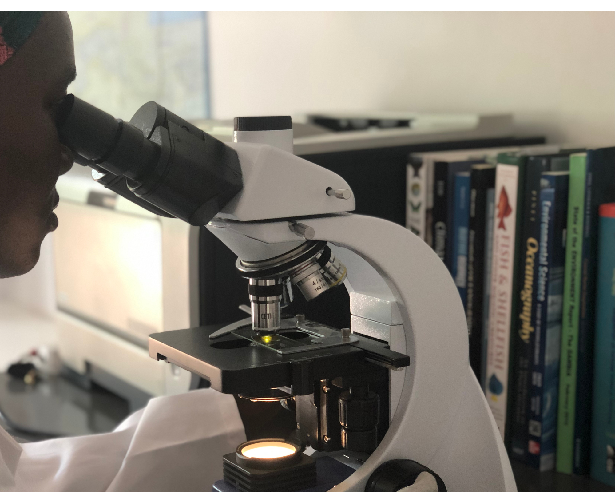 Copy of Training The.zip - 6.PNG