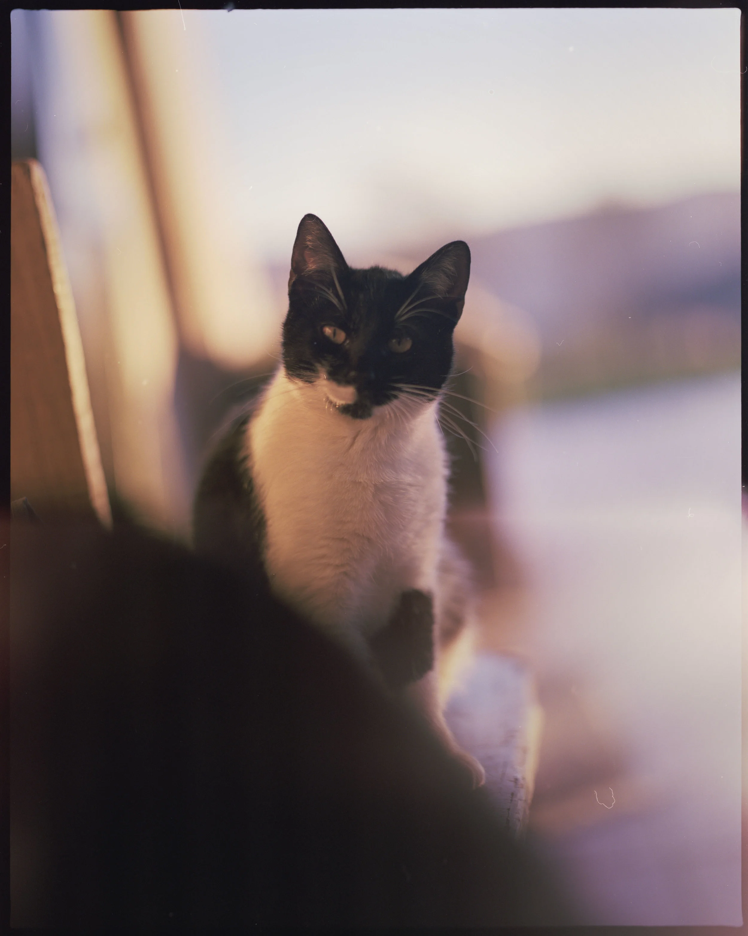Pentax67Katutxakur000.jpg
