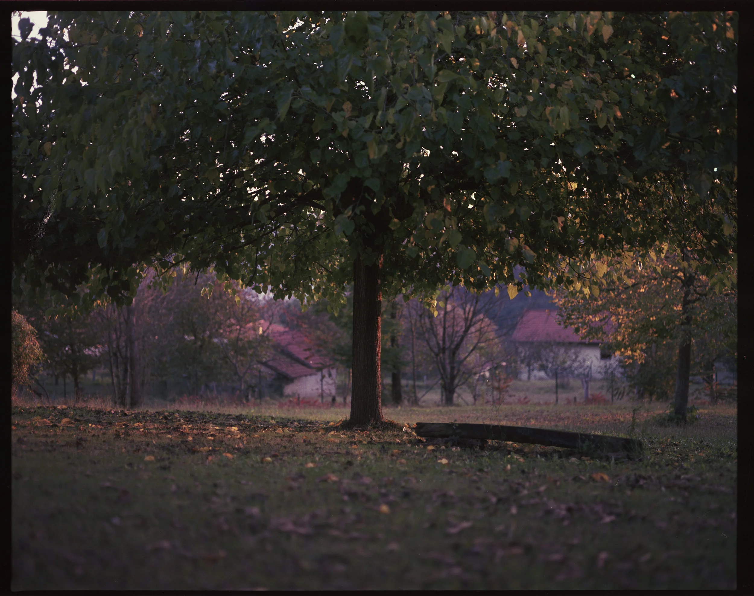 Pentax67Katutxakur008.jpg