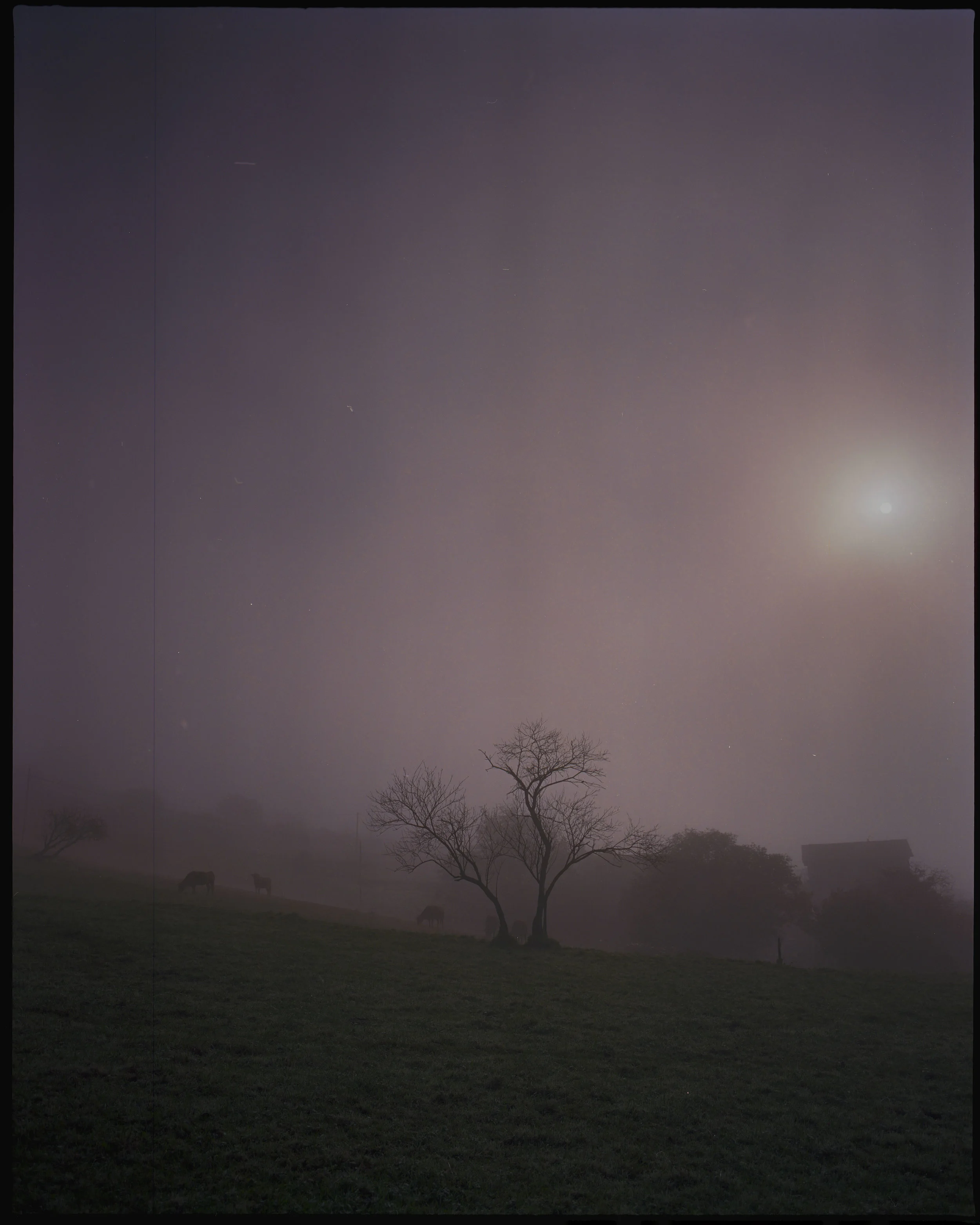 Pentax67Lainoa000.jpg