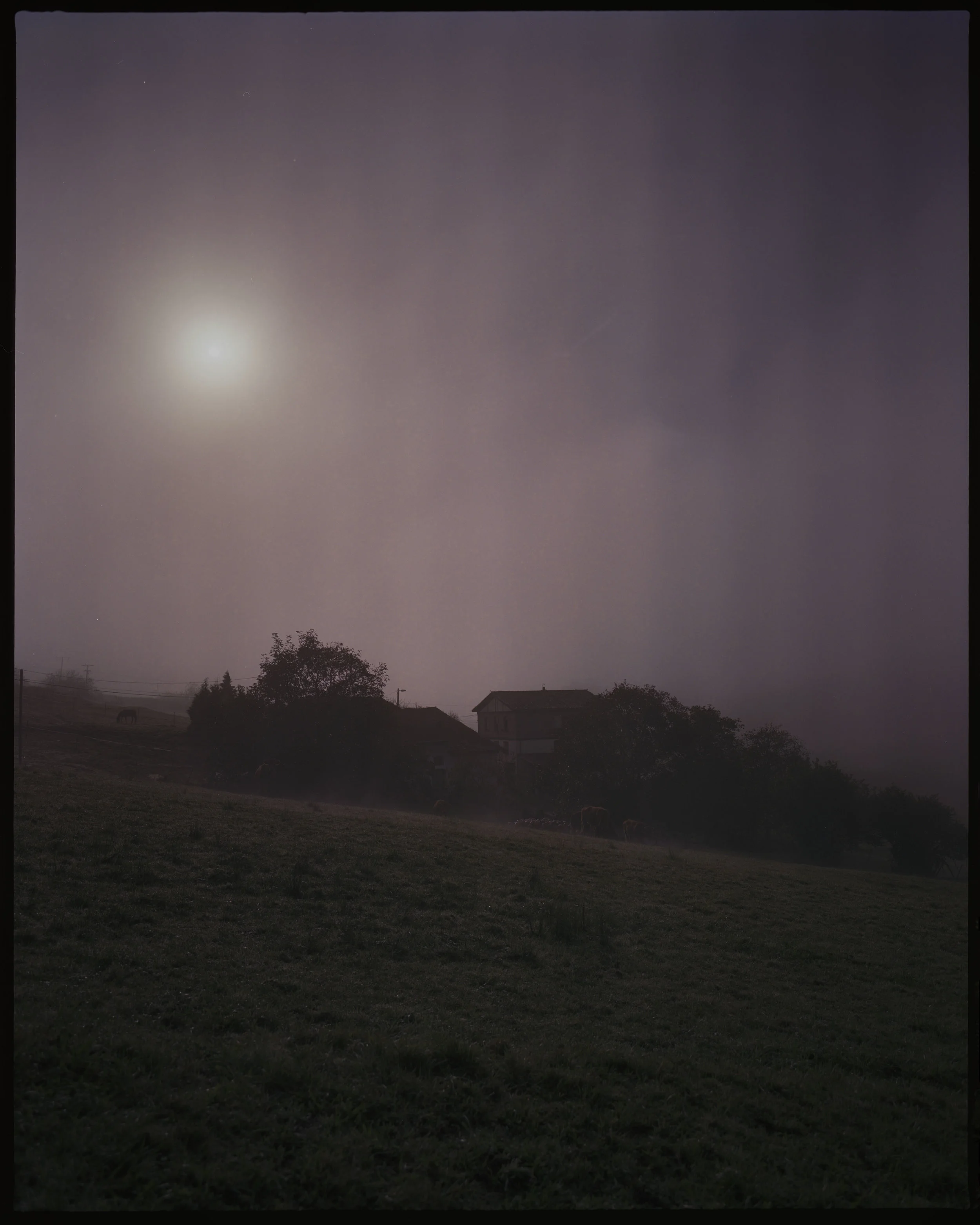 Pentax67Lainoa007.jpg