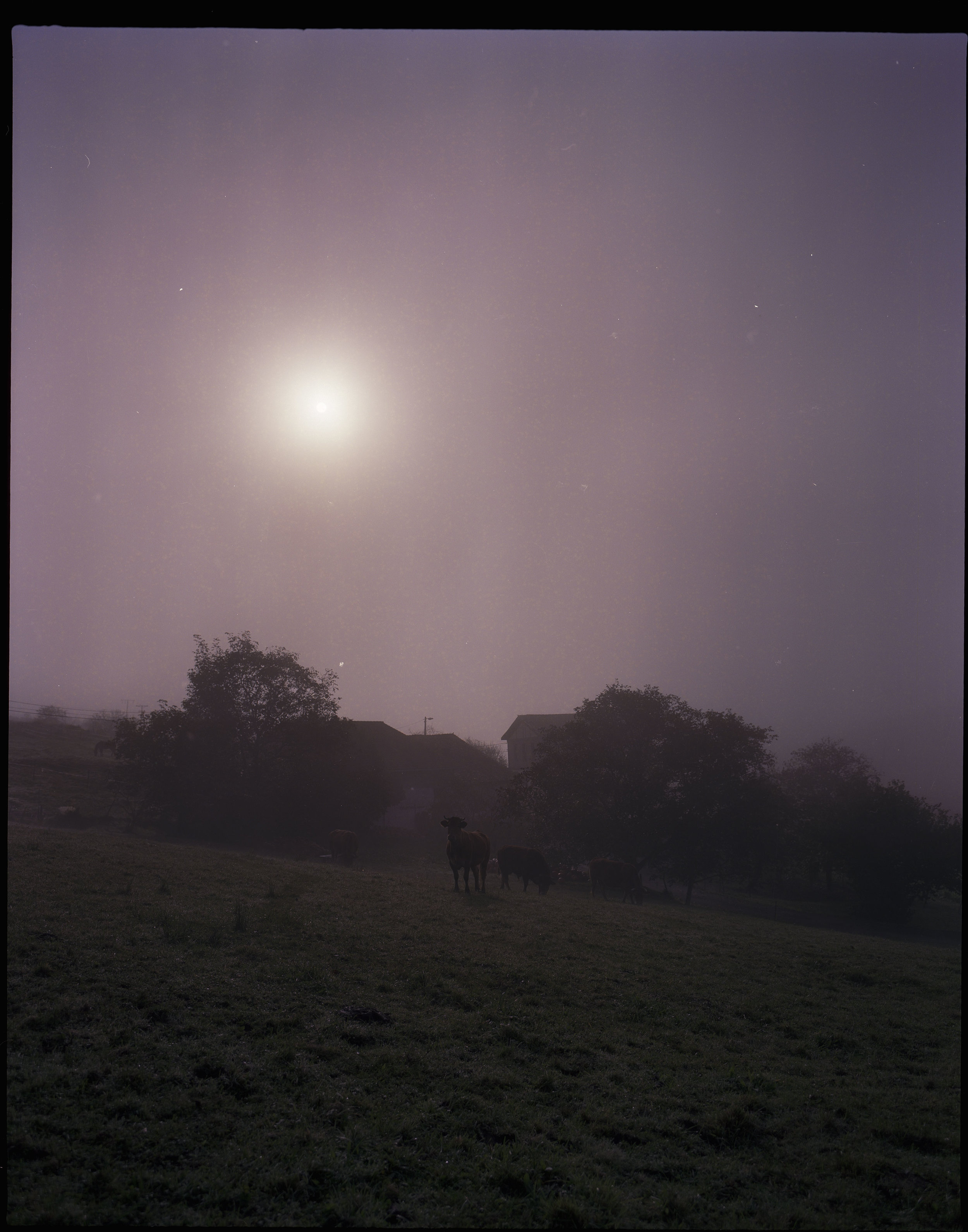 Pentax67Lainoa002003.jpg