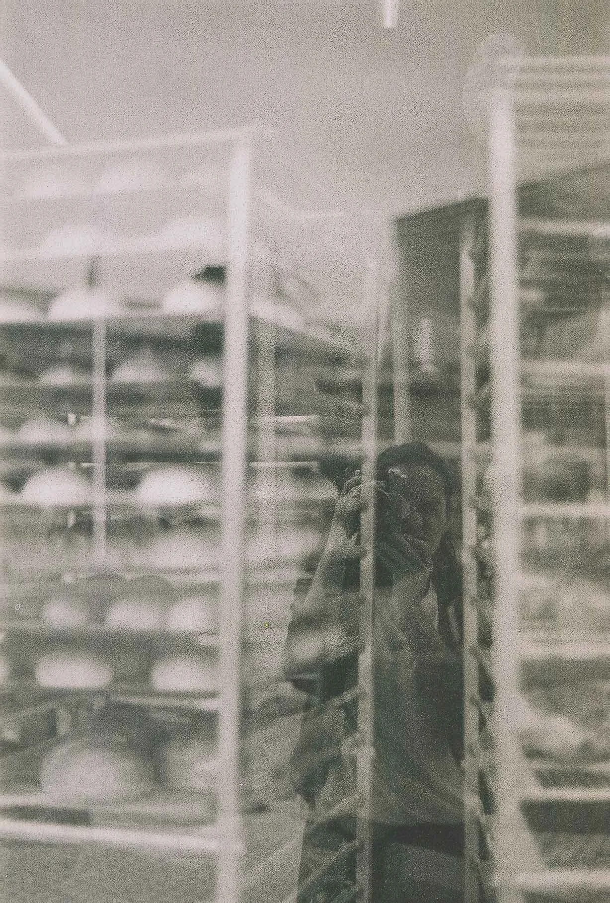 autorretrato1.jpg
