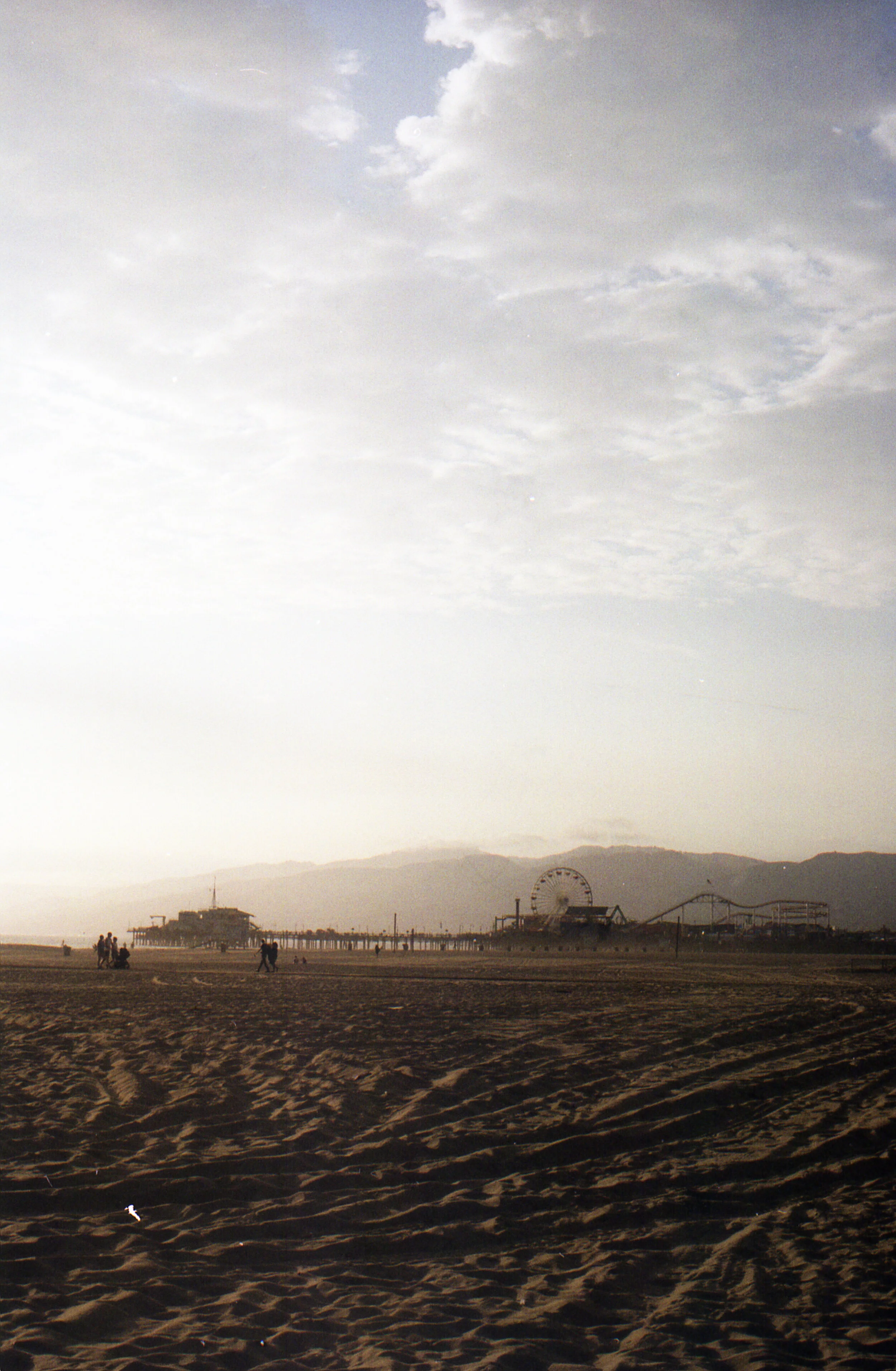 img716.jpg