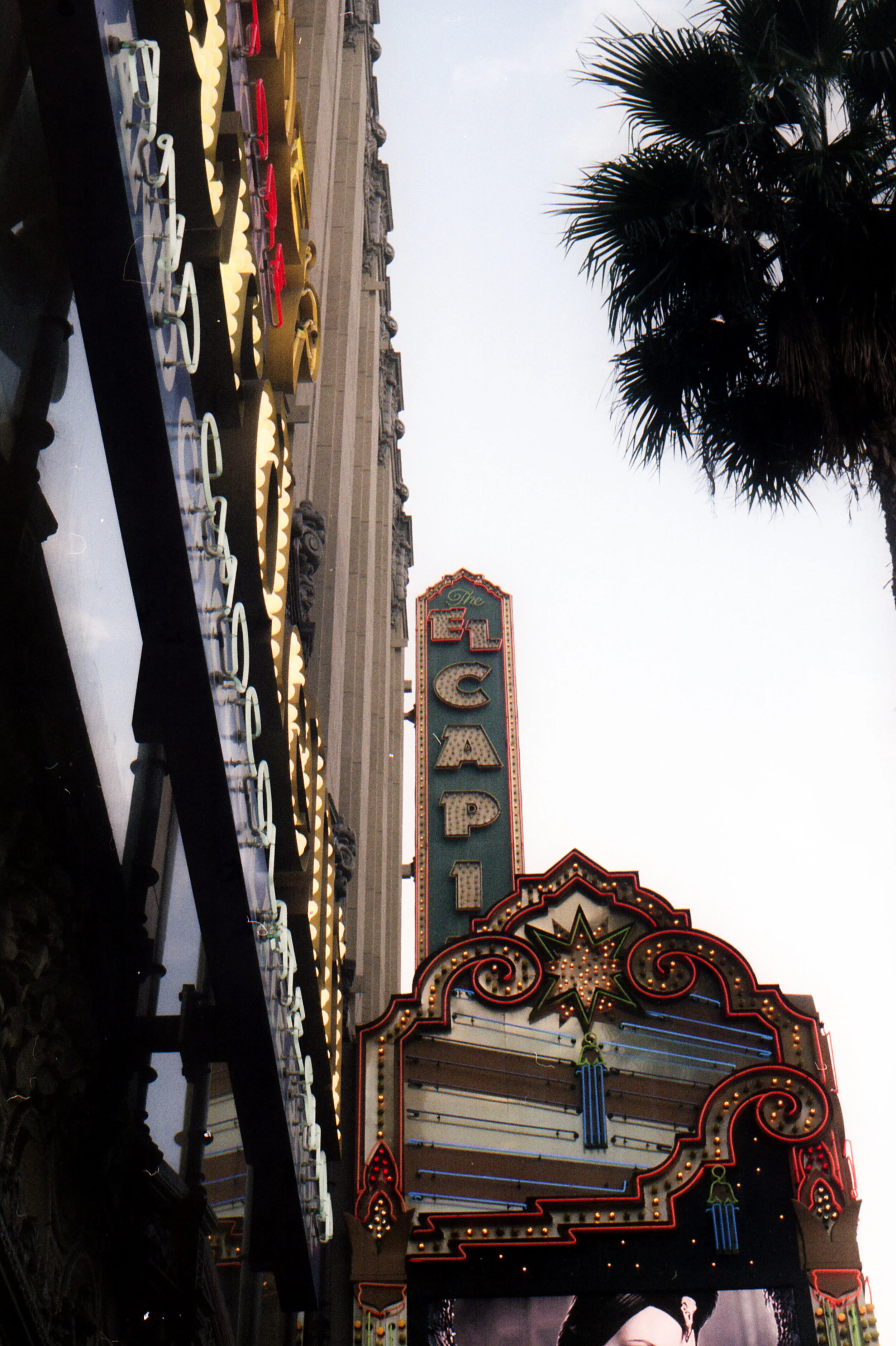 img722.jpg
