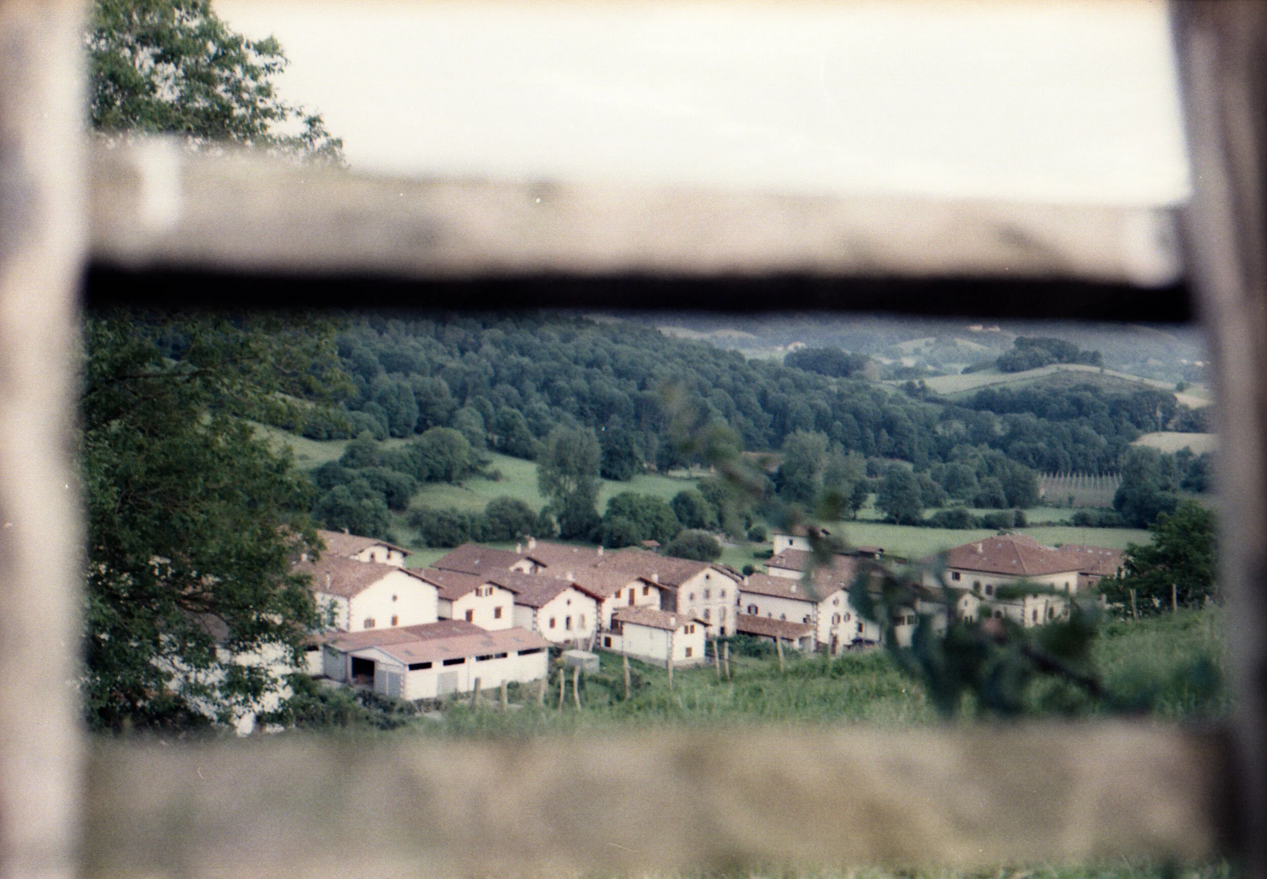 img725.jpg