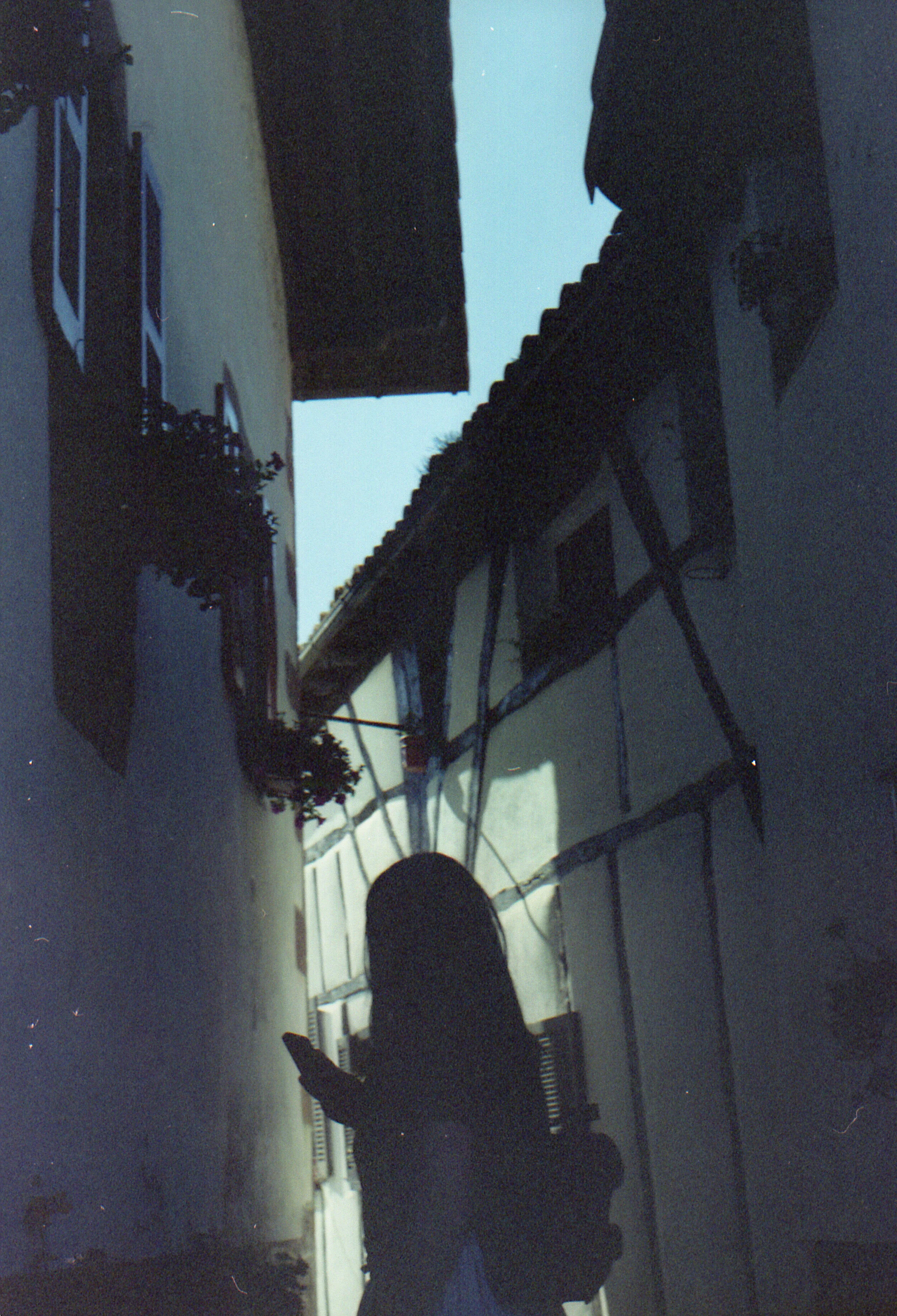 img732.jpg