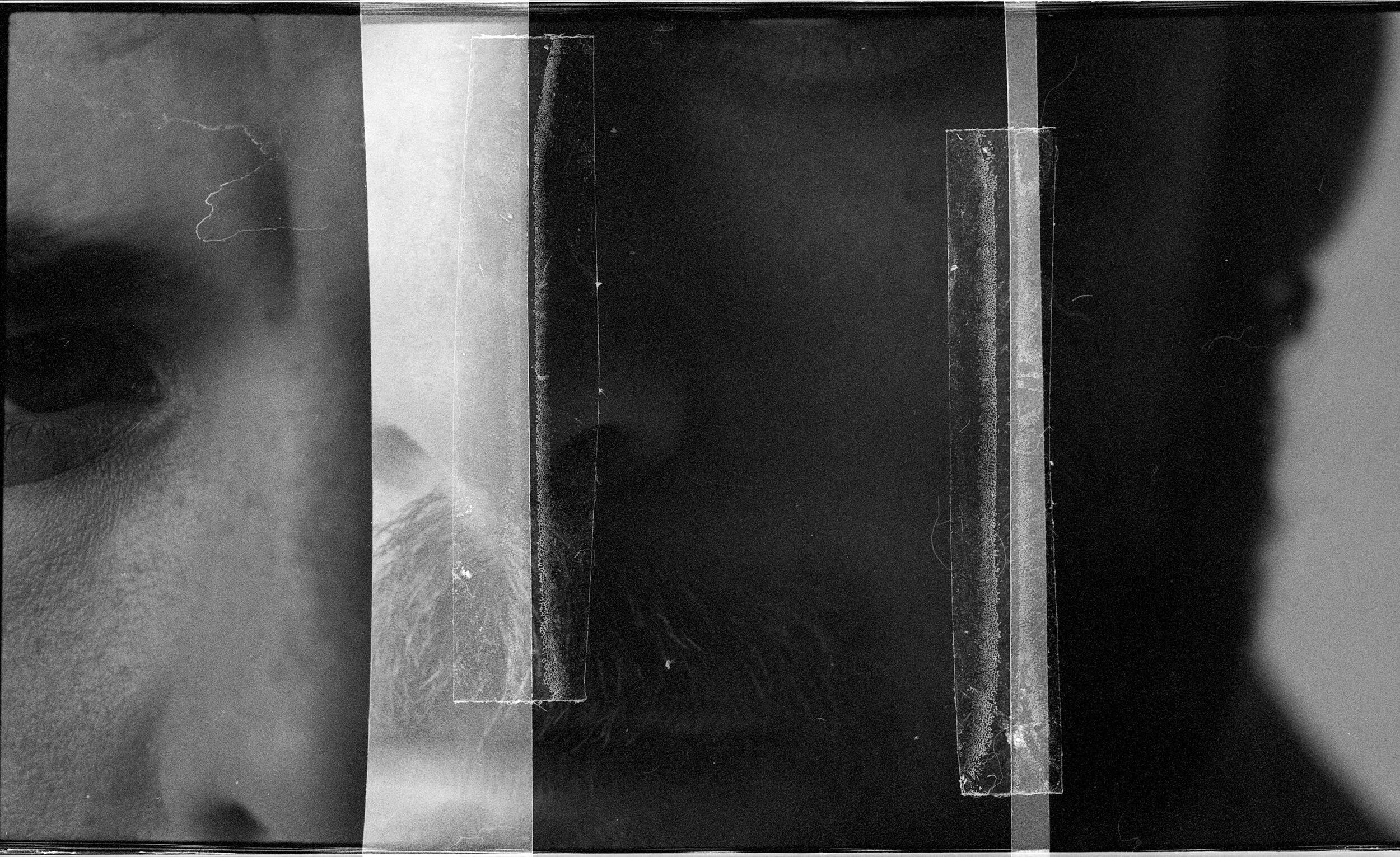 jonan_collage001.jpg