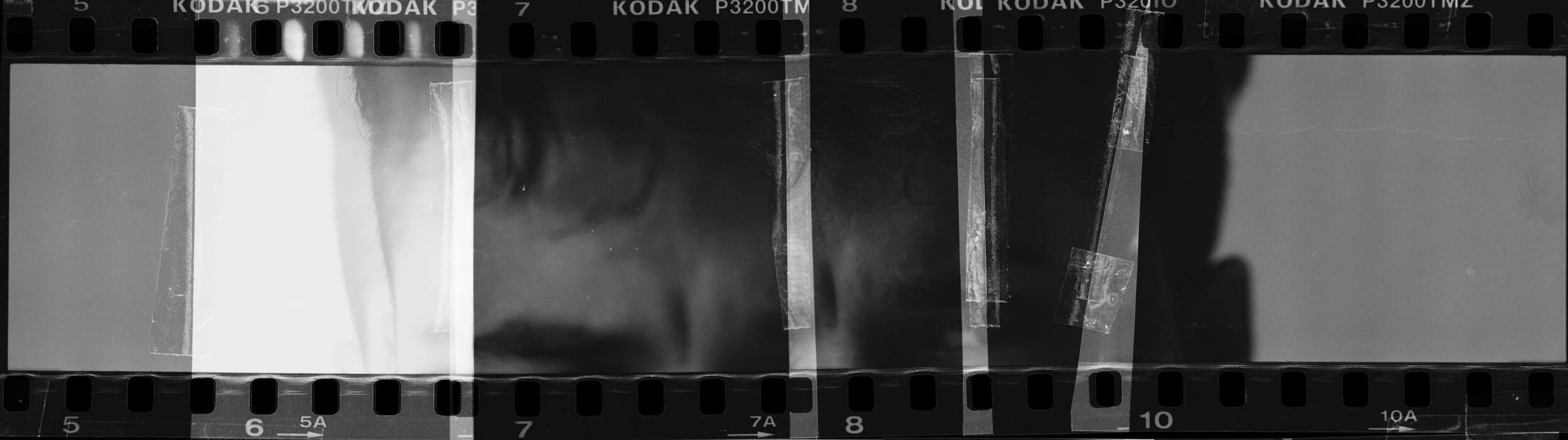 collage_total010.jpg