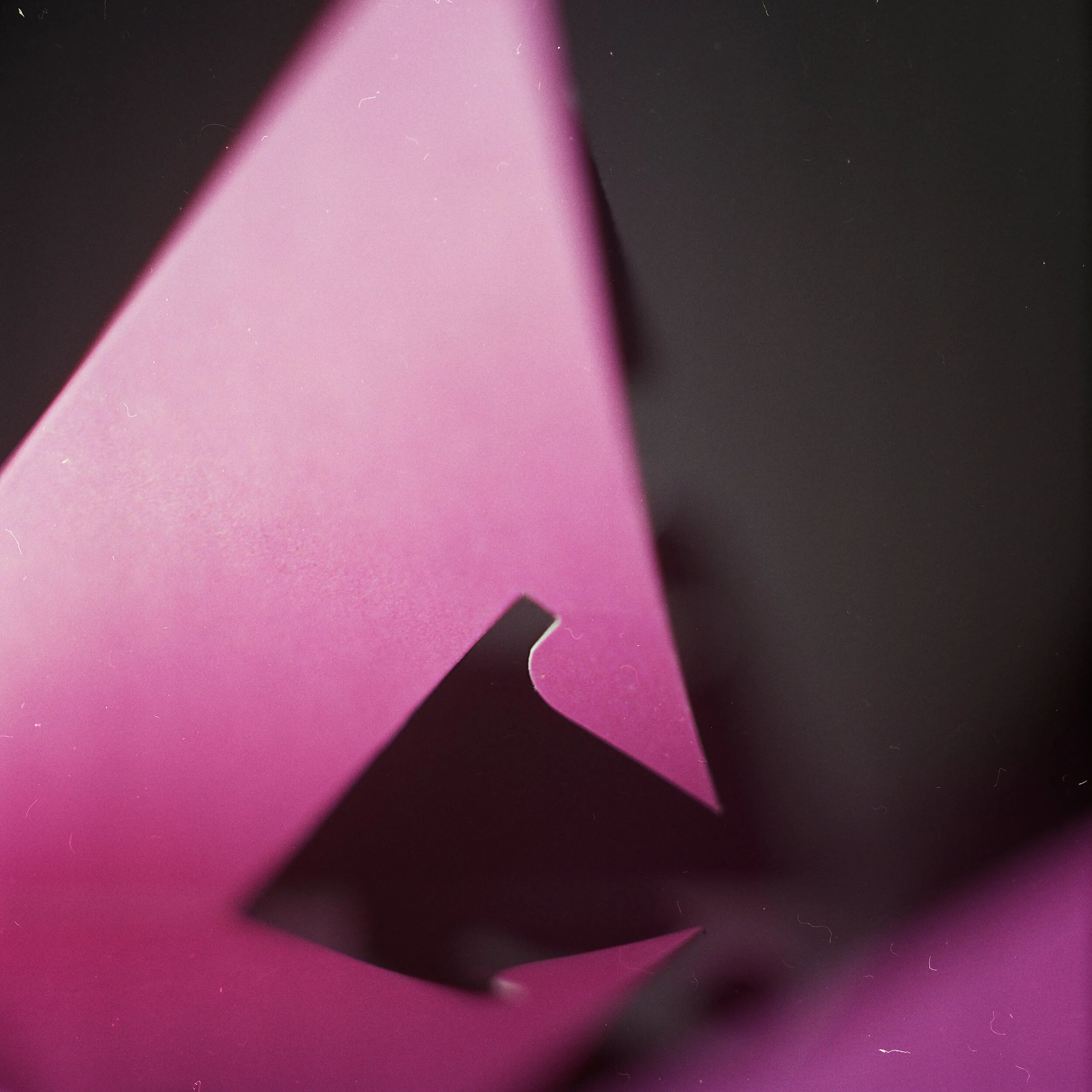 DENDA041.jpg