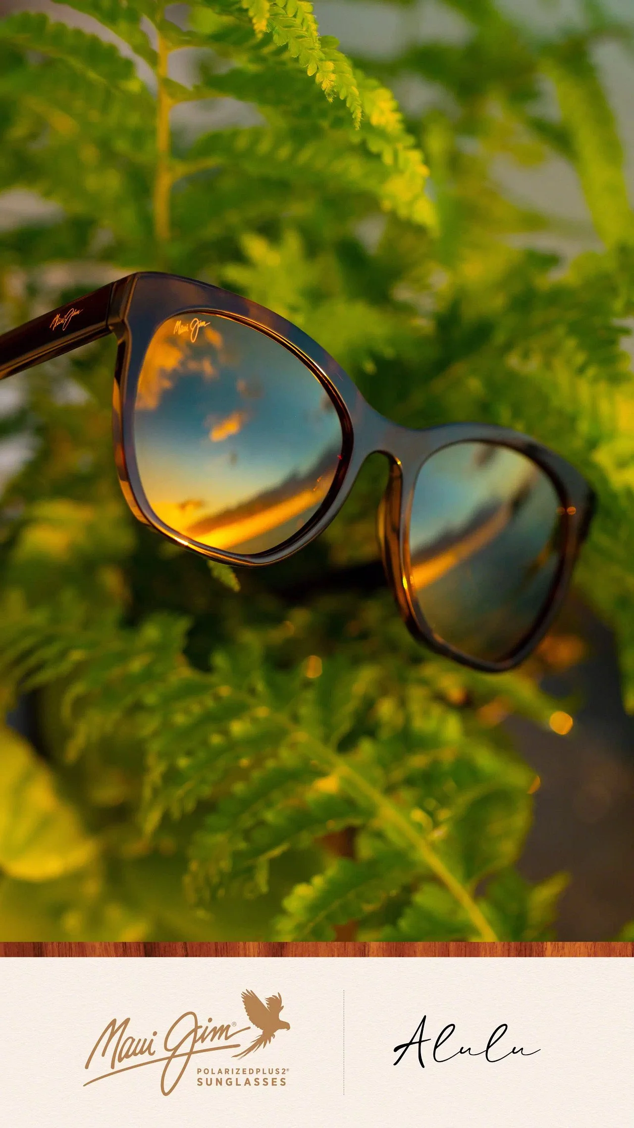 Alulu Social Story - 1080x1920.jpeg