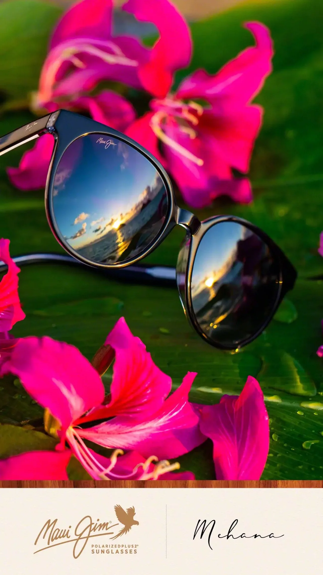 Mehana Social Media Story - 1080x1920.jpeg