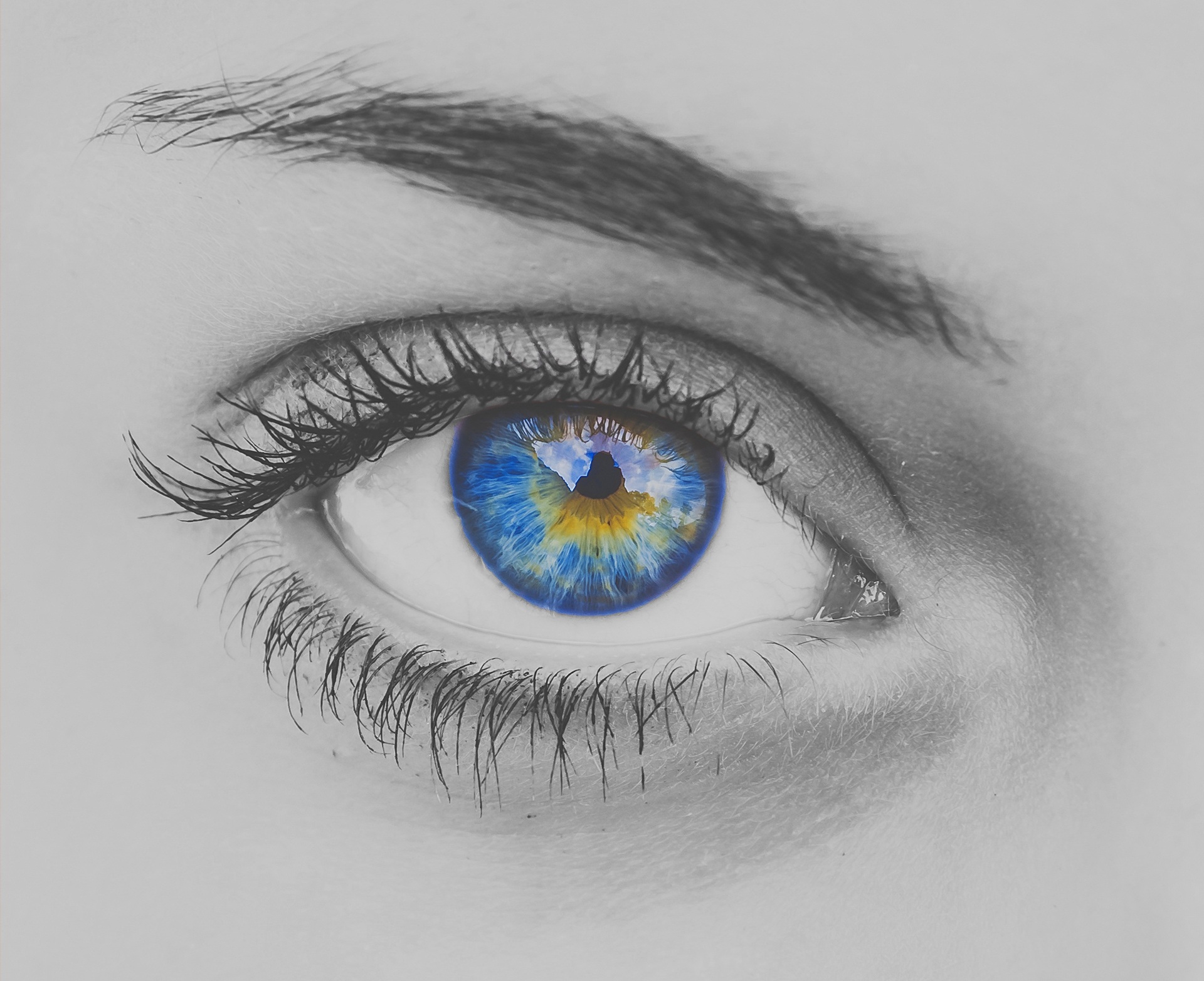 eye-3150089.jpg