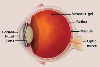 eye.png