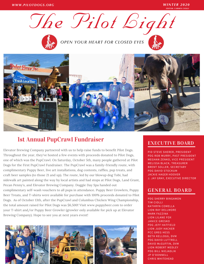 Pilot Dogs 2020 winter newsletter - The Pilot Lite is now available