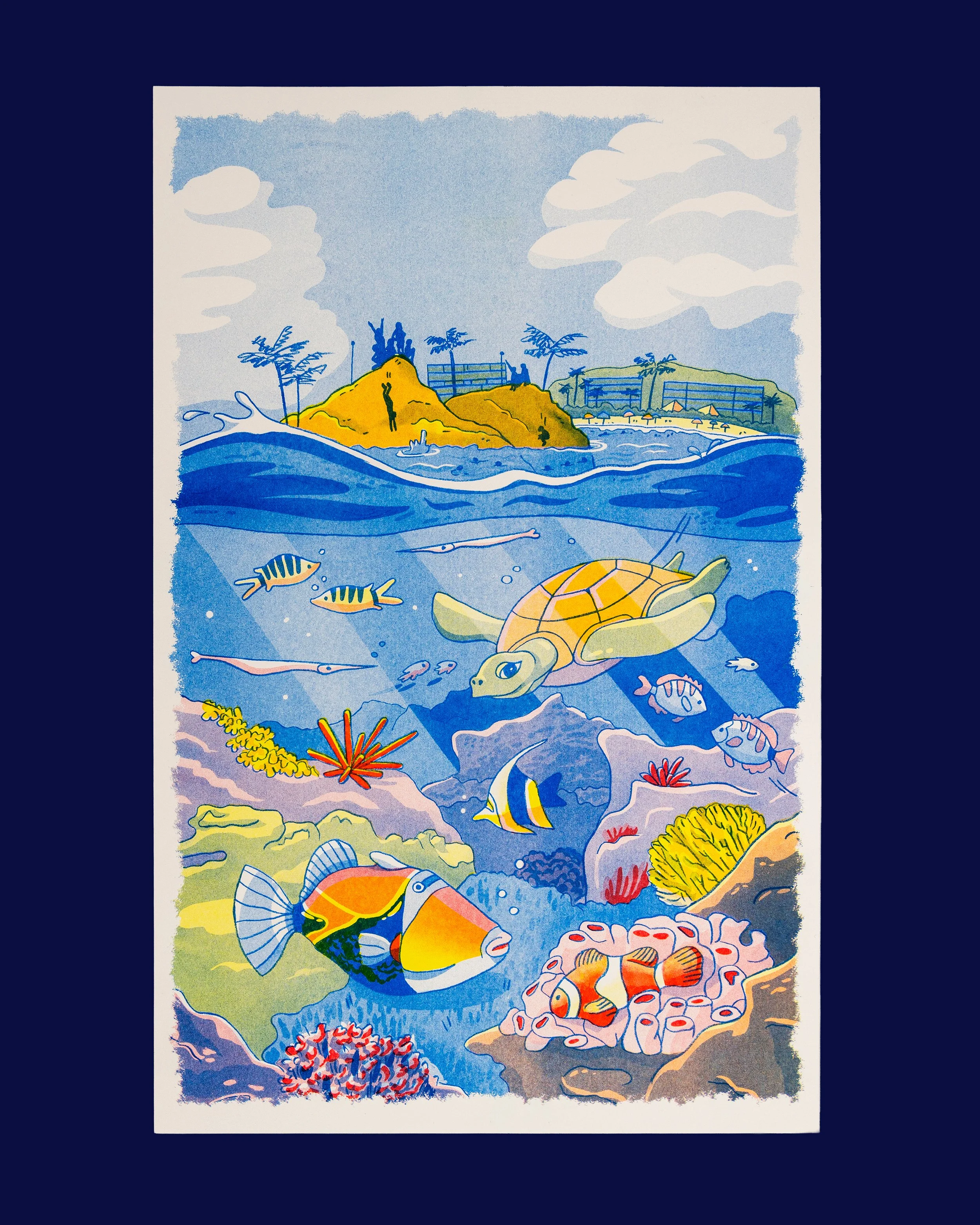 Website-Anastasia-Itkina-Hawaiian-Riso-11.jpg