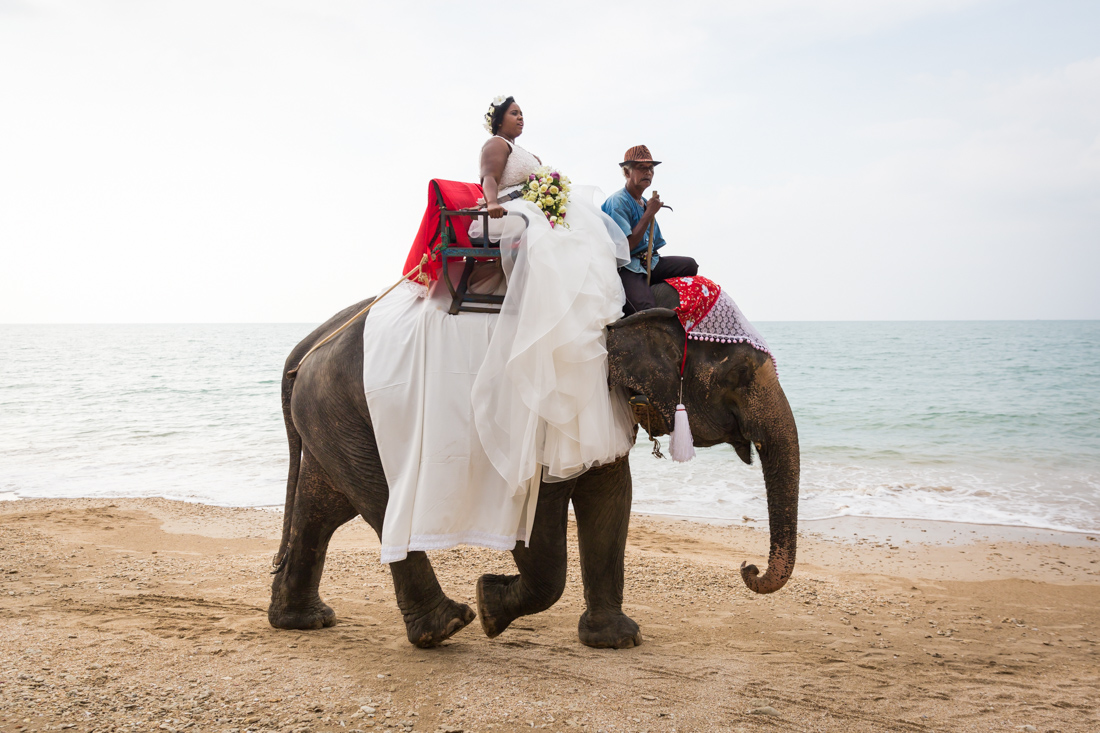 Bride rides in on Lui Lui