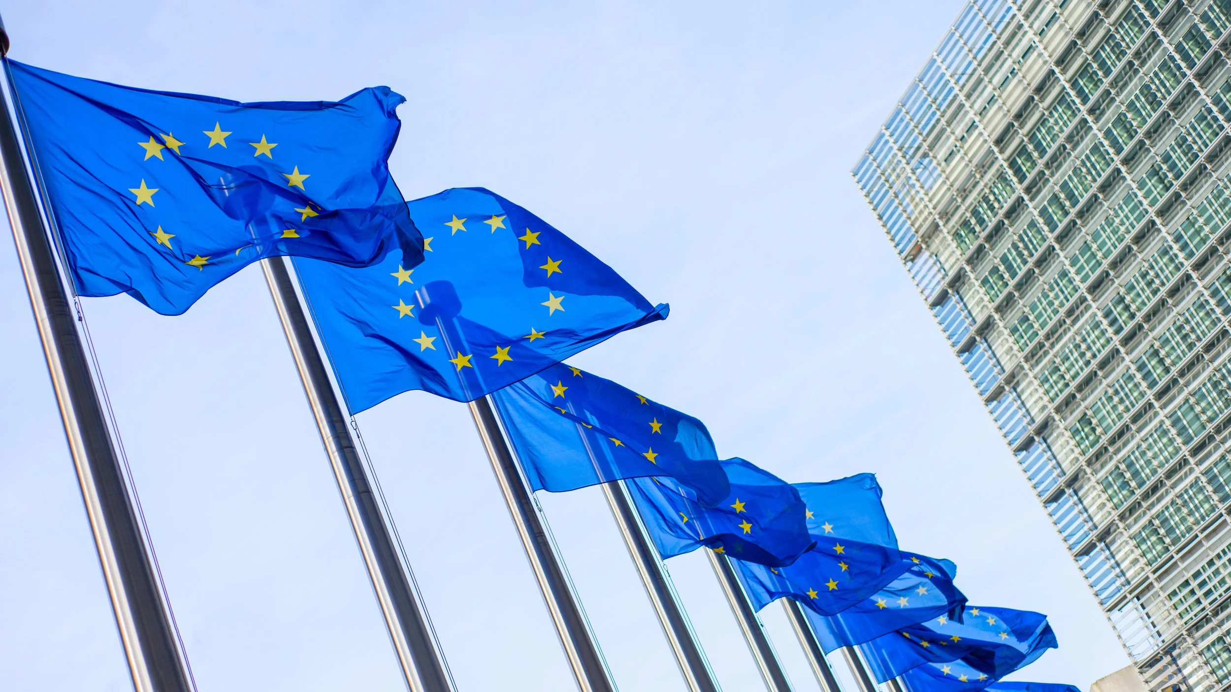 EU government veteran falsely accused of espionage for Israel, fired from diplomatic service