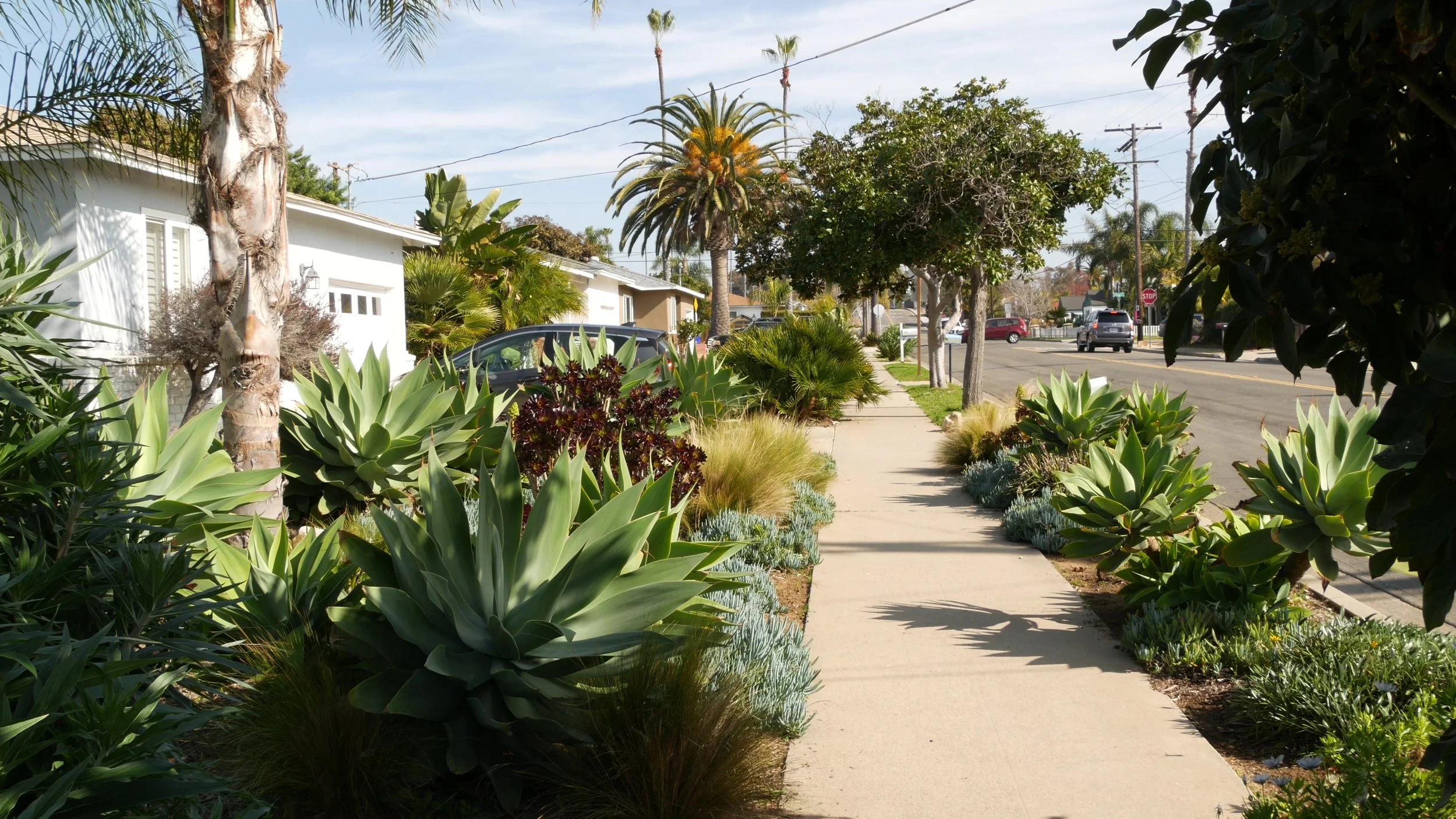 Investigating possible disparity of treatment by law enforcement in LA Jewish neighborhood