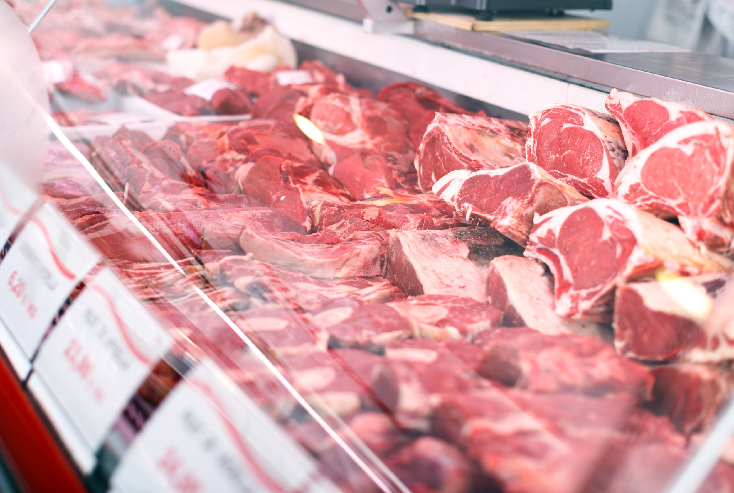 Kosher slaughter ban in Belgium