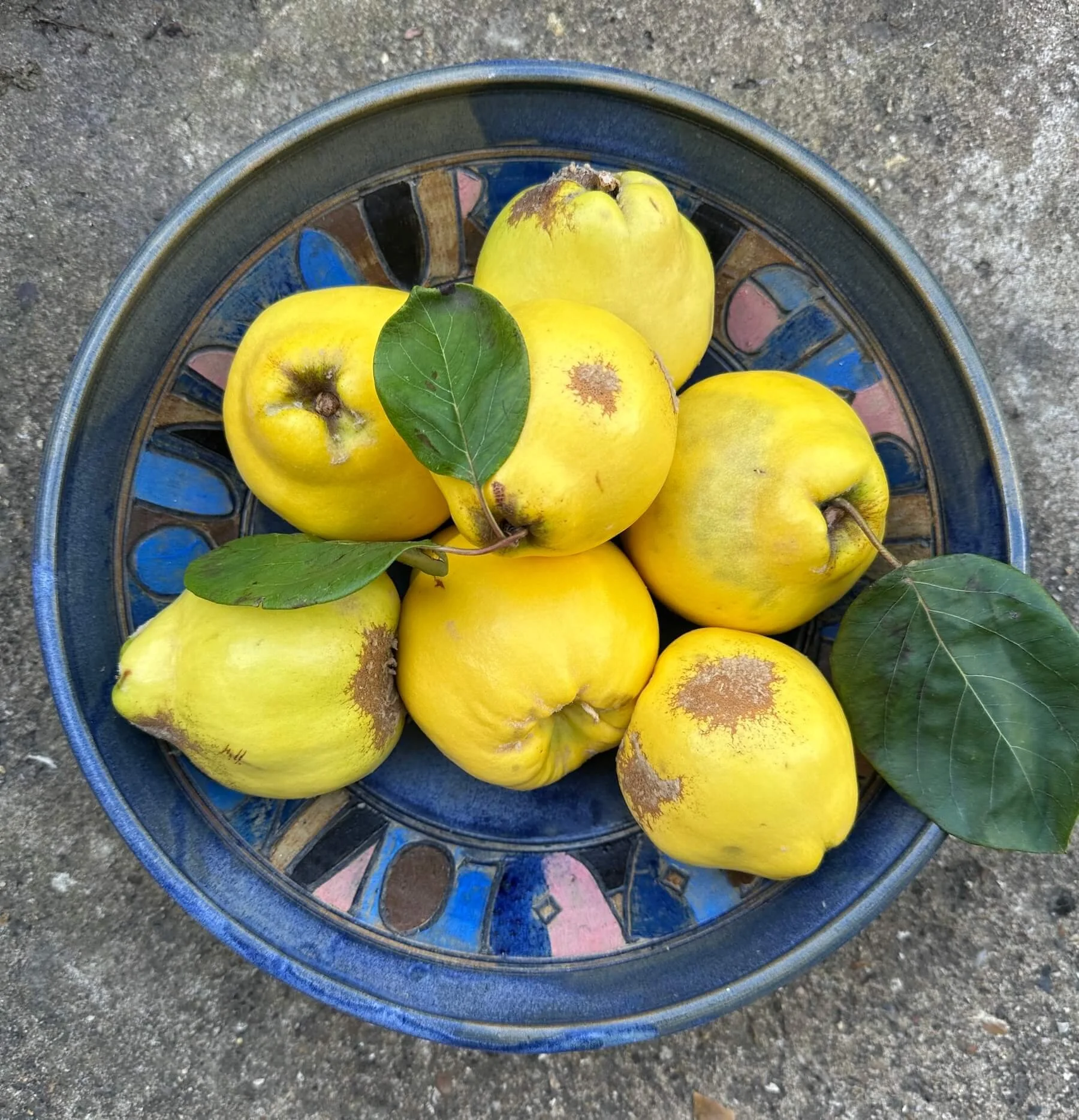 Consuming Passions: Quinces