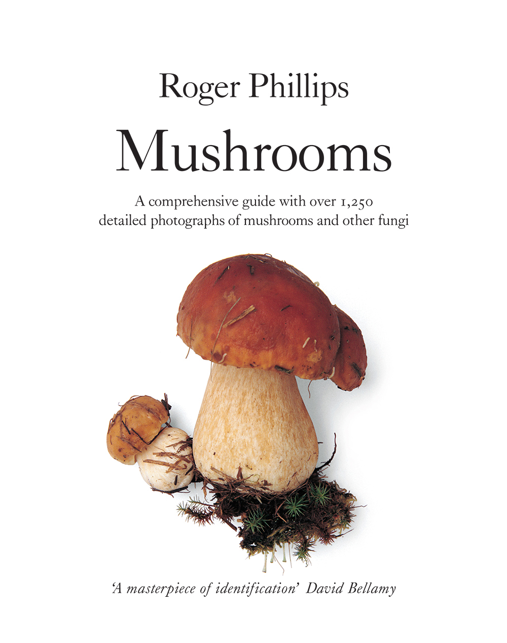 Mushrooms by Roger Phillips