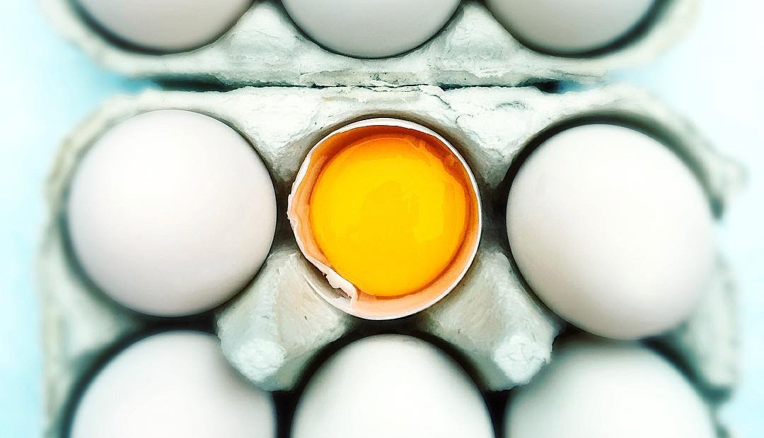 white+eggs.jpg