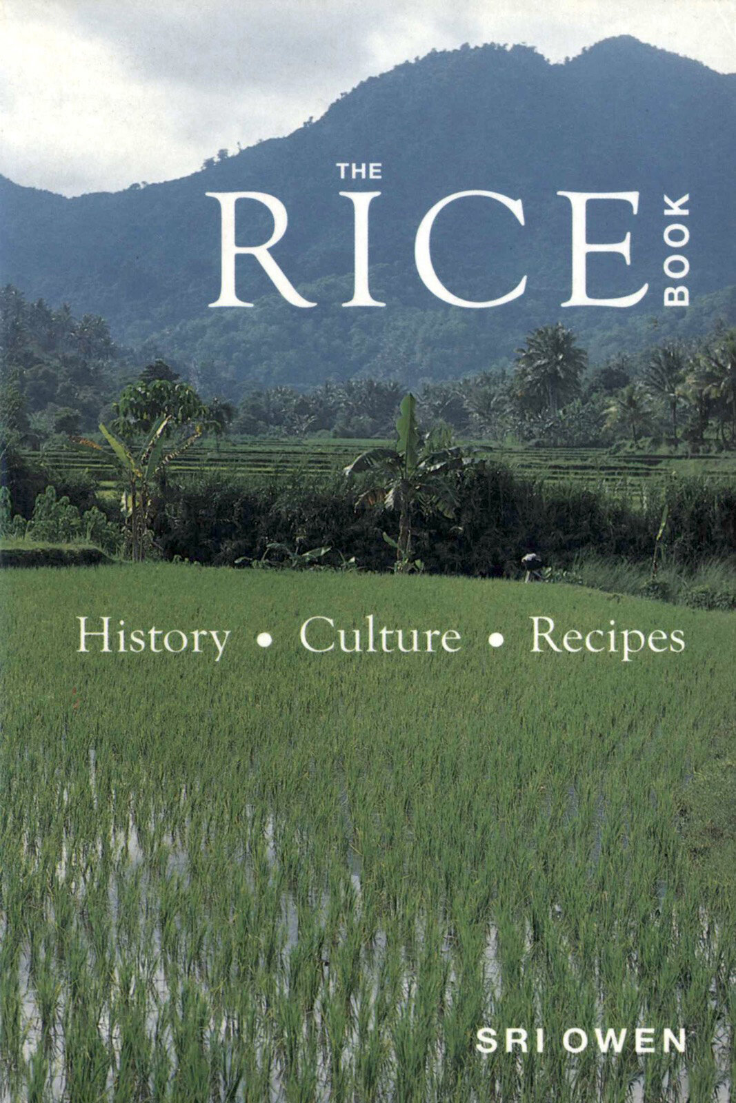 RiceBook.jpg