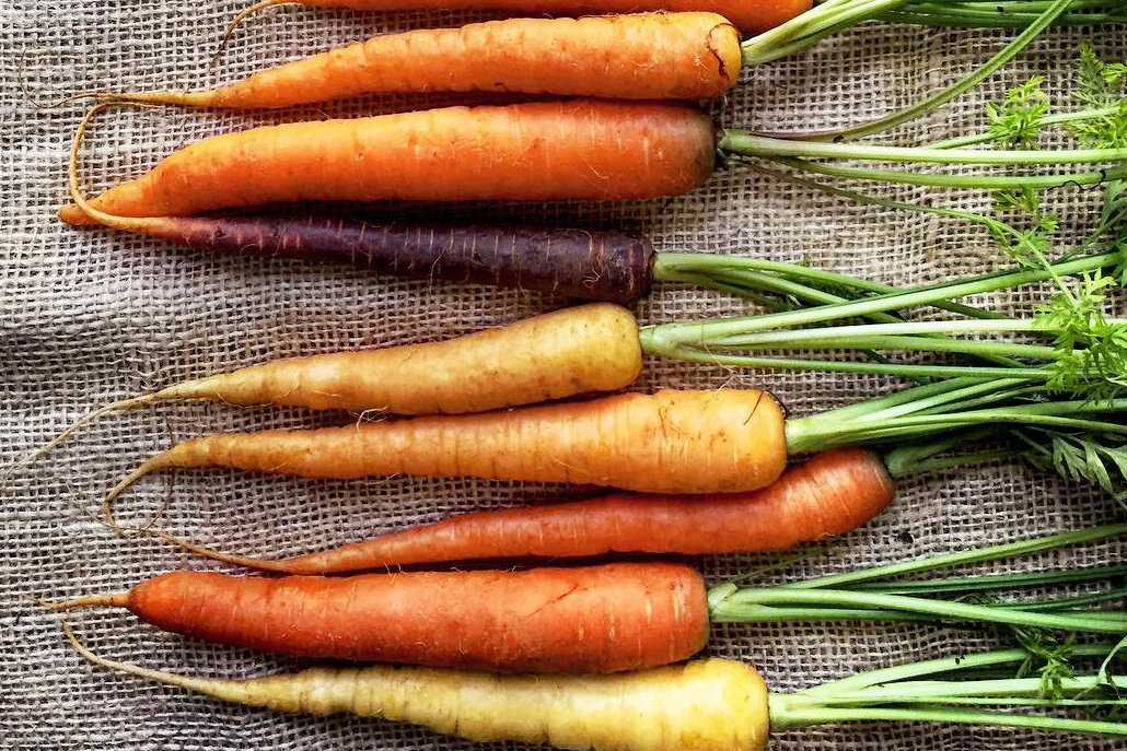 Behind the Cookbook: 50 Ways to Cook a Carrot