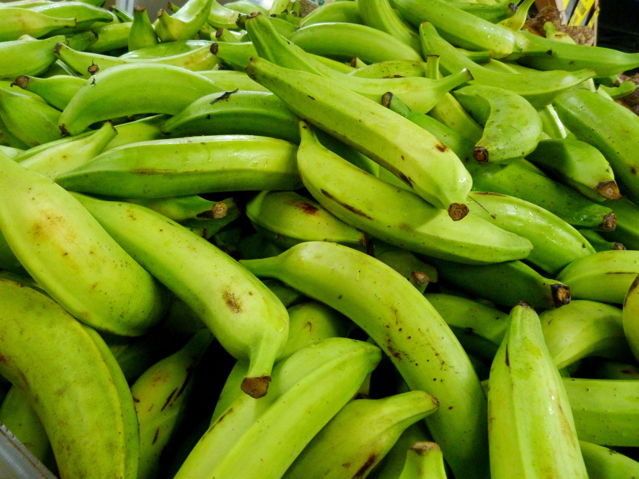 Matoke, green plantain, is the main ingredient in one of Yasmin’s favorite dishes.