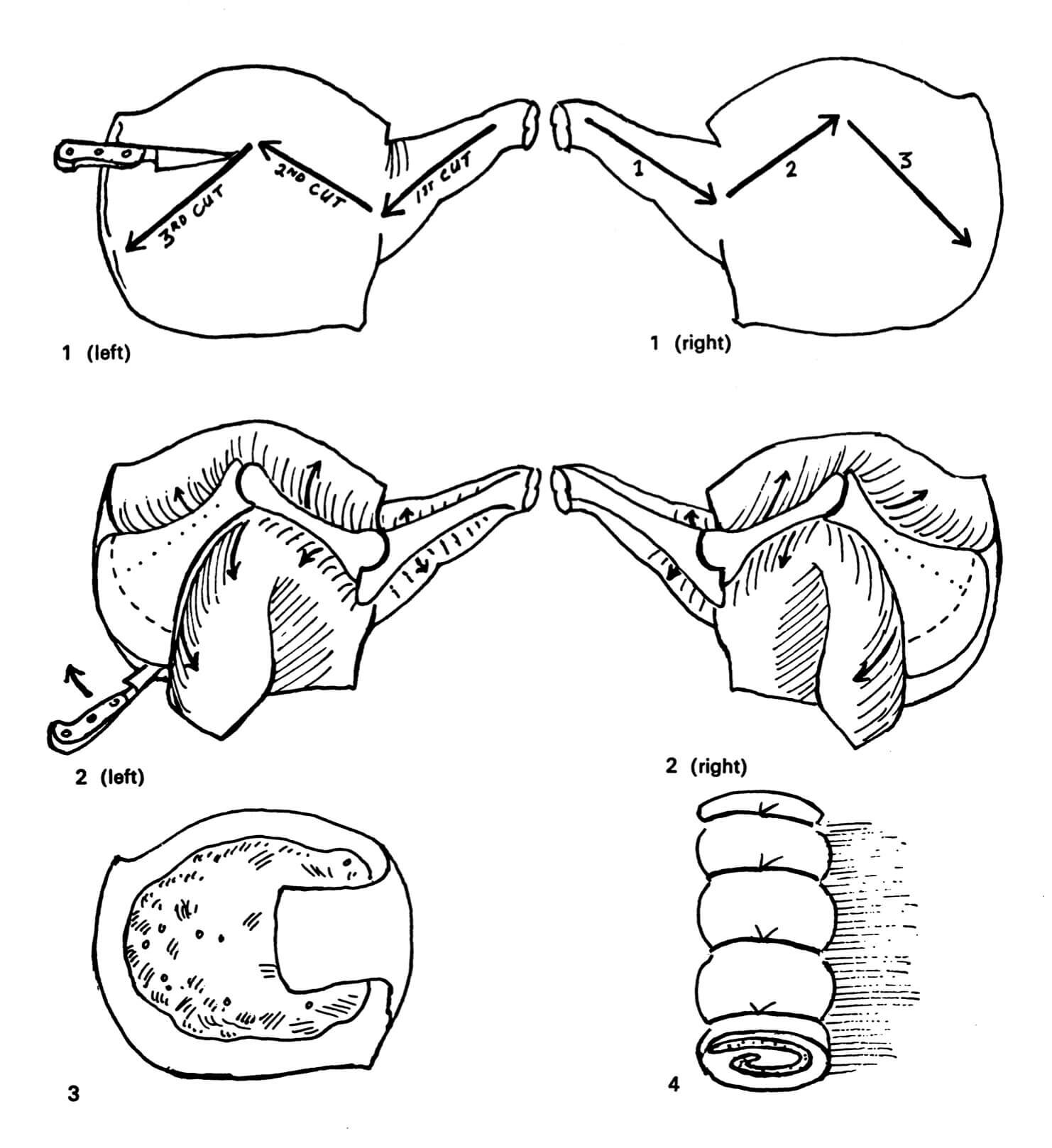 Illustrations show techniques such as how to bone a shoulder of lamb or veal