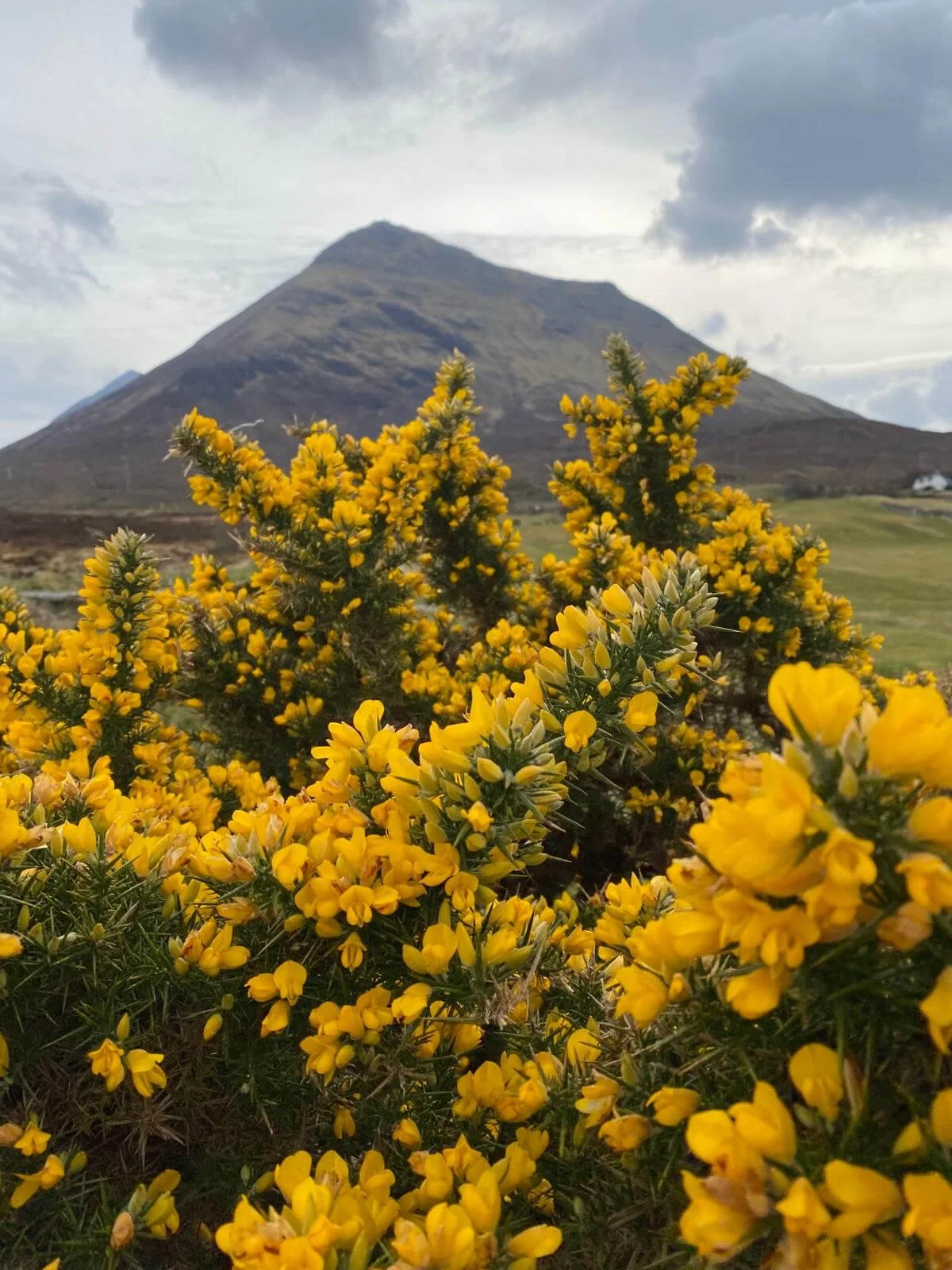 An t-earrach – Spring on the Isle of Skye