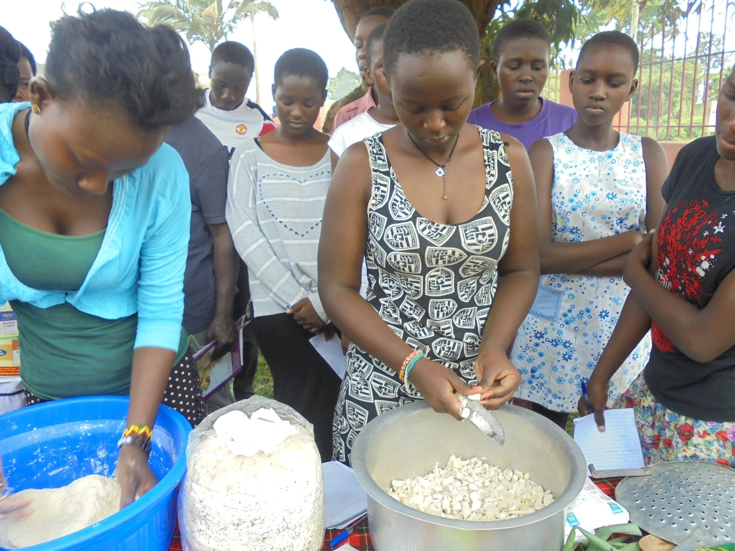 Income Generating Activities