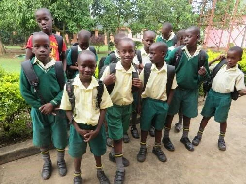 Education Update