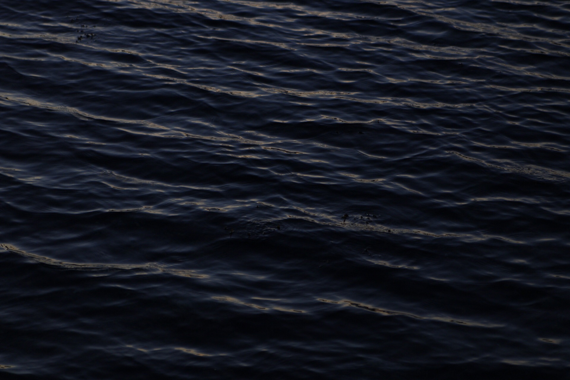 92B6006F-6E46-45E7-803D-C5ECF359A31D.jpeg