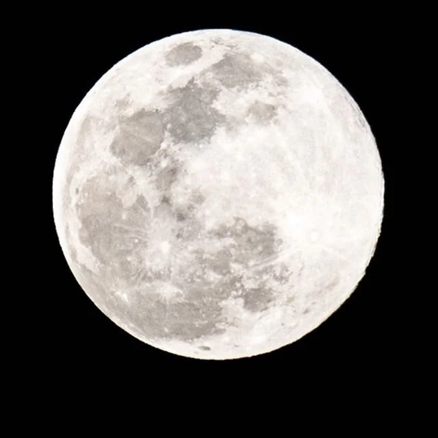 I photographed the super moon tonight. Pretty incredible. We had fun discovering the various craters on it. So much to discover when we are forced to slow down. 🪐

Today was really good. Felt like a typical summer day less the homework but even that