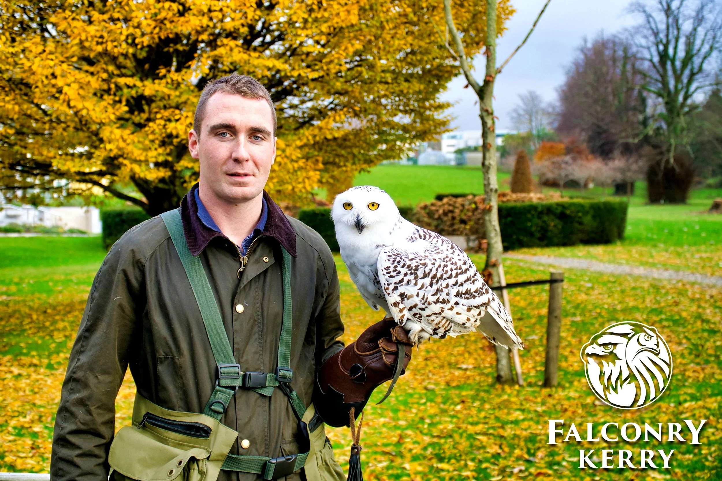 Hawk walks & Owl Encounters, Falconry in Killarney