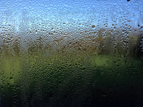 Adding Moisture to Your Indoor Air, Naturally